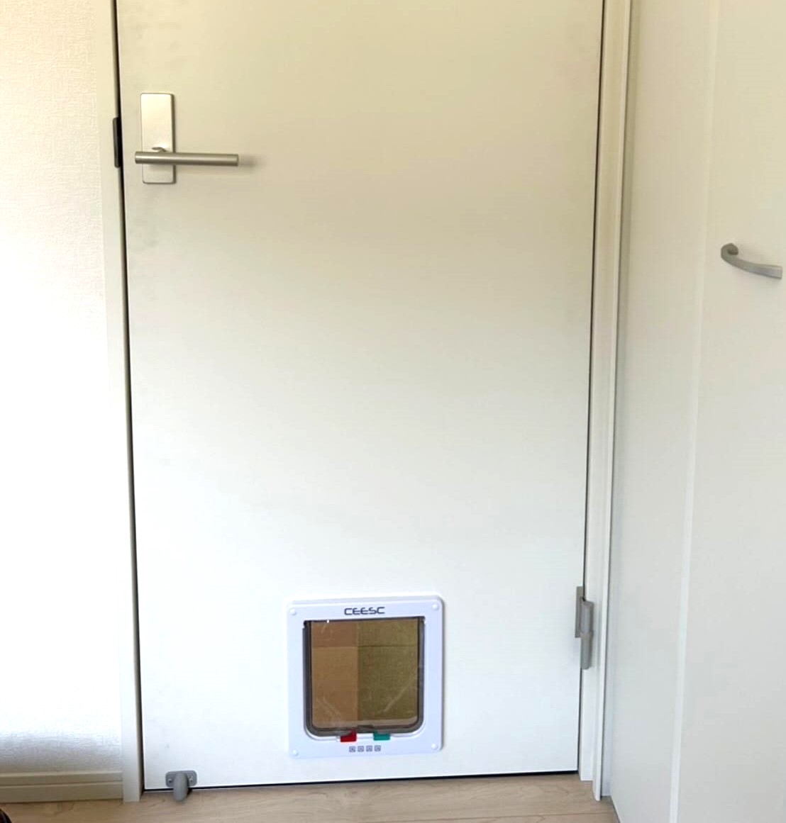 《リフォームブログ》ペットドア取付工事