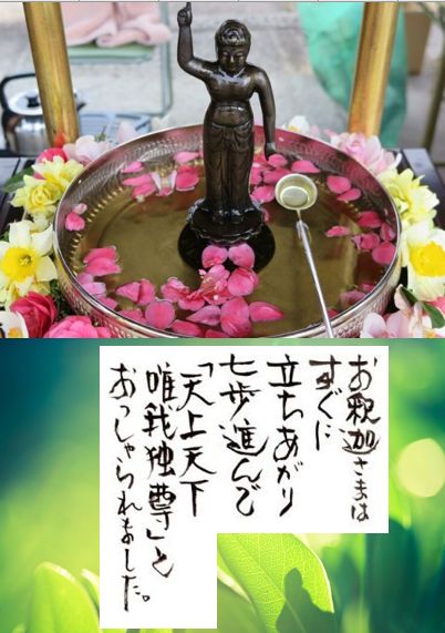 お釈迦様のご生誕日🌸花祭り