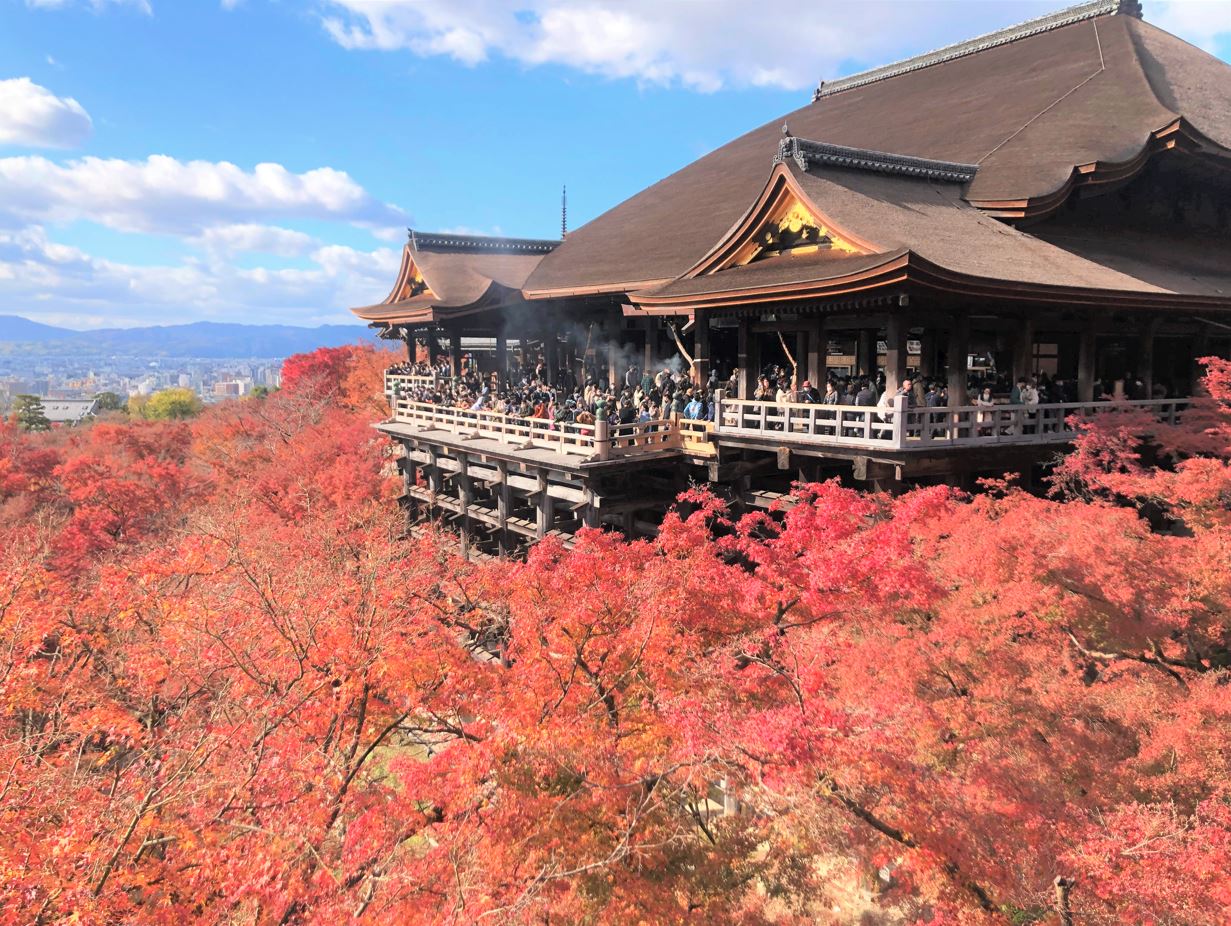 京都へ紅葉狩り旅🍁