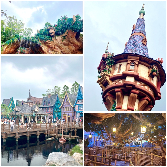 ディズニーランドとディズニーシーに行ってきました🏰✨