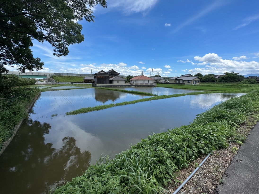 福岡県行橋市大字下検地【土地】をお預かりしました。