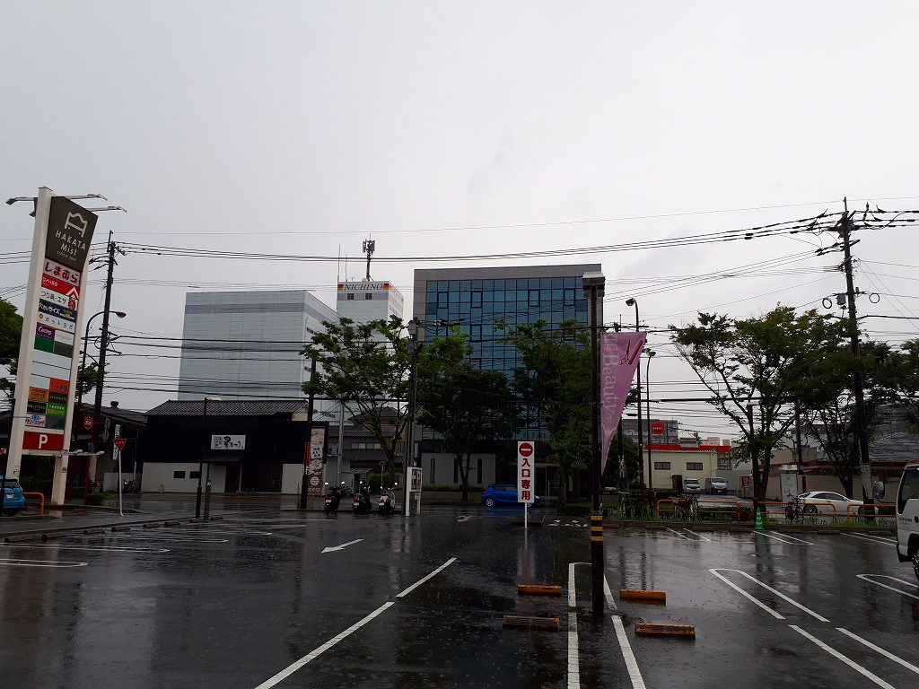 今日も雨☂